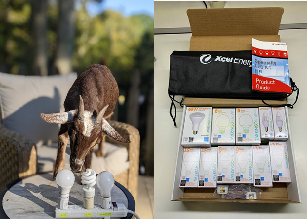 The EmPowered Schools program’s honorary staff member, Tom Hanks the goat, helped students learn how to identify the types of light bulbs in their home and calculate the savings of switching to LEDs.