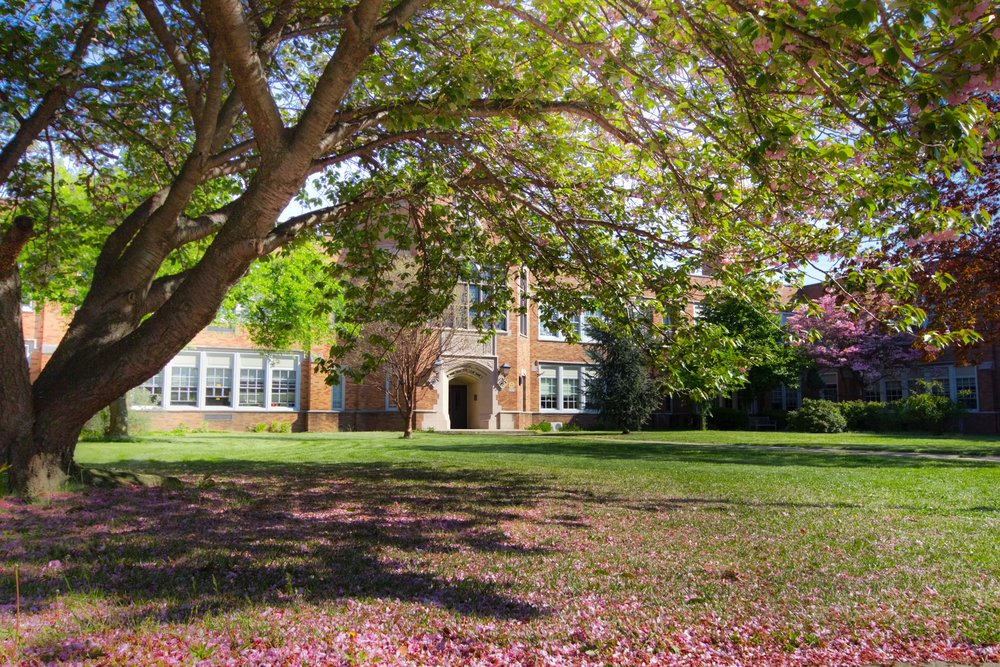 As the school year kicks off, so does the CCN. As the school year kicks off, so does the CCN.